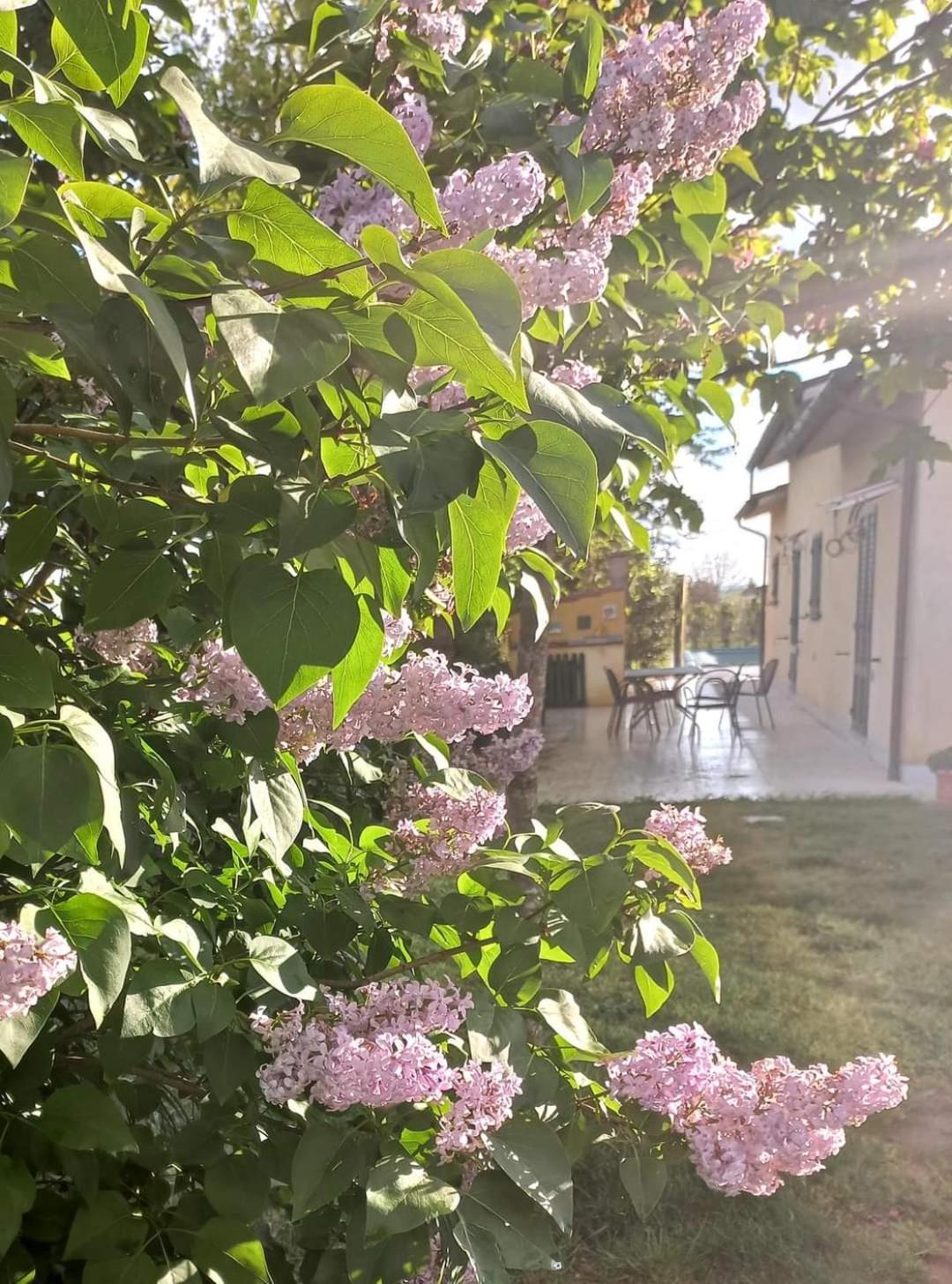 La Casa Di Tommy Villa Cortona Bagian luar foto